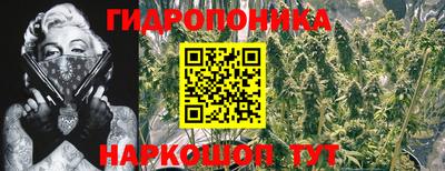 сатива Уссурийск